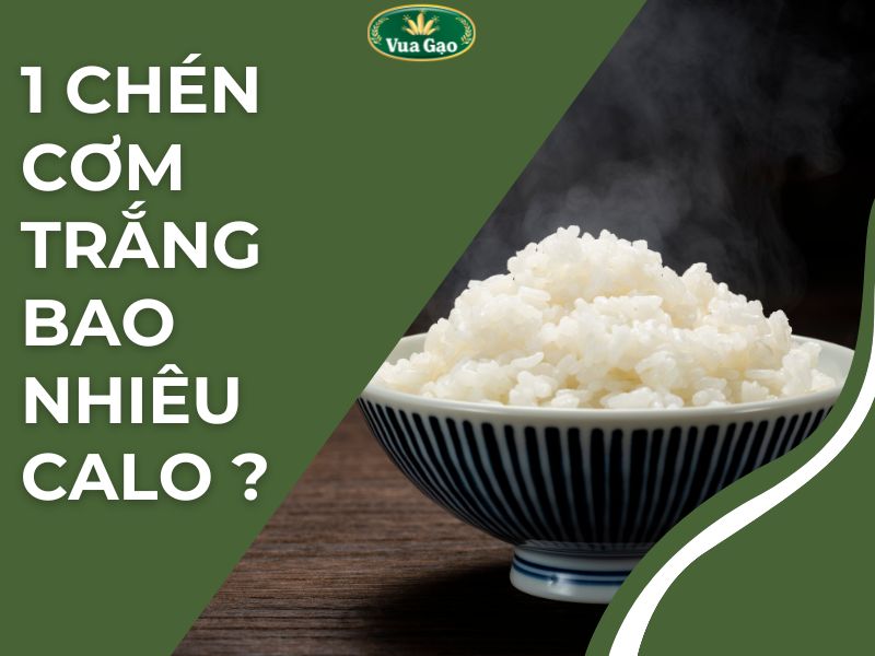 100GR CƠM TRẮNG BAO NHIÊU CALO PHƯƠNG PHÁP ĂN CƠM ĐỦ CHẤT GIỮ DÁNG