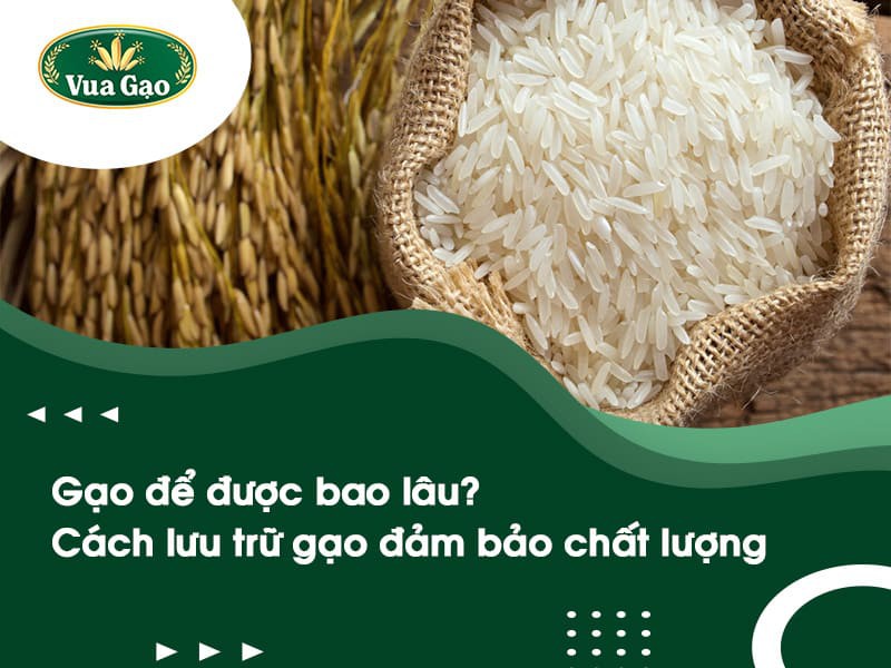 8. Dấu Hiệu Gạo Bị Hỏng