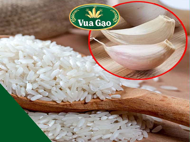 Gạo bị mọt phải làm sao cách diệt mọt hiệu quả