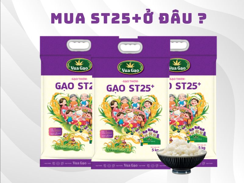 Mua ST25 ở đâu ?