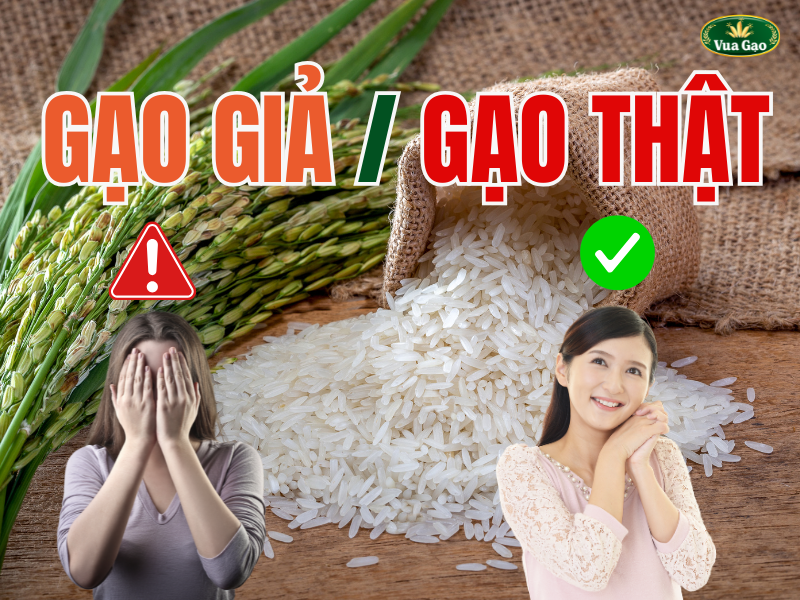 GẠO GIẢ  GẠO THÂT