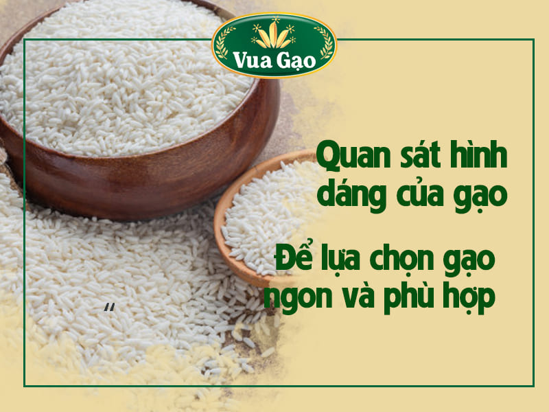 quan-sat-hinh-dang-gao