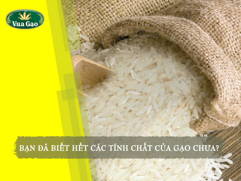 cac-tinh-chat-cua-gao