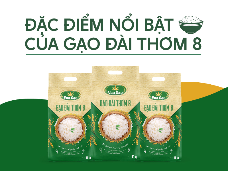 Đặc Điểm Gạo Đài Thơm 8