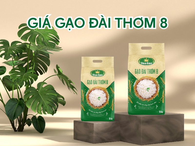 Giá Gạo Đài Thơm 8