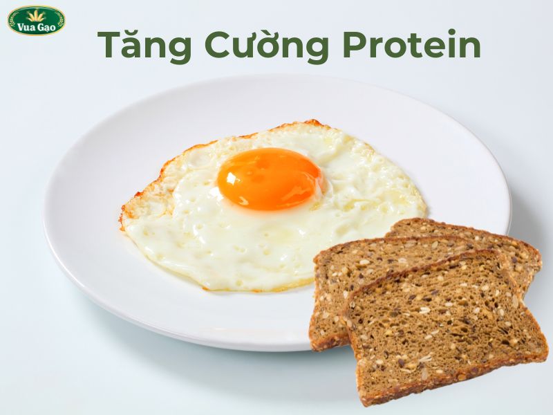 thực đơn protein