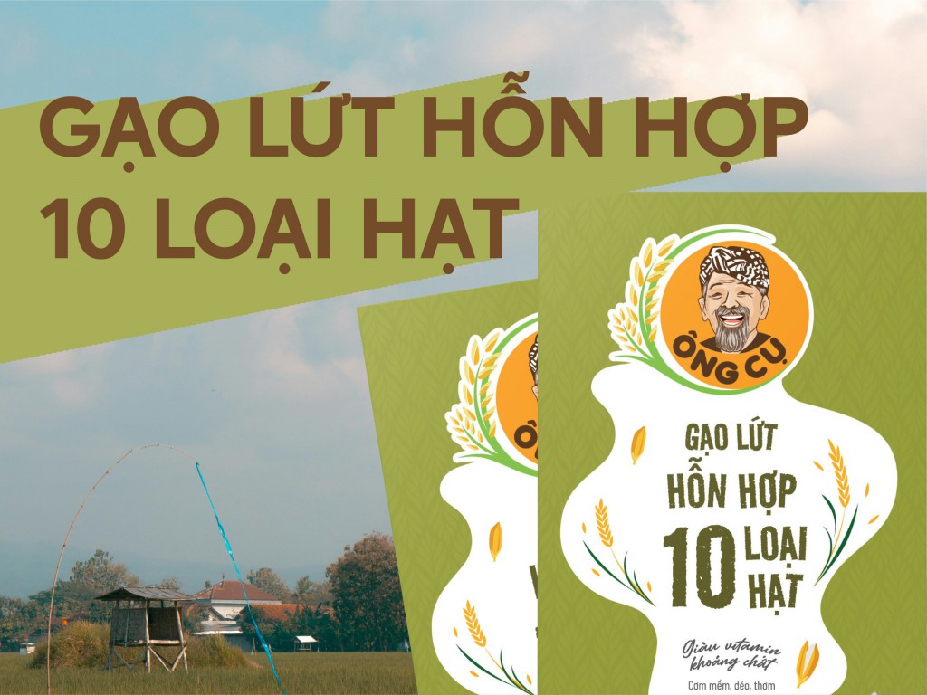 gao-lut-hon-hop-10-loai-hat.jpg