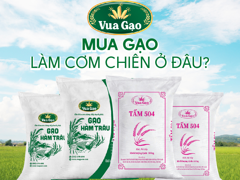 Gạo Thơm Lài Mua Ở Đâu