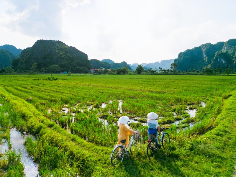 Tín Hiệu Đáng Mừng Cho Vua Gạo