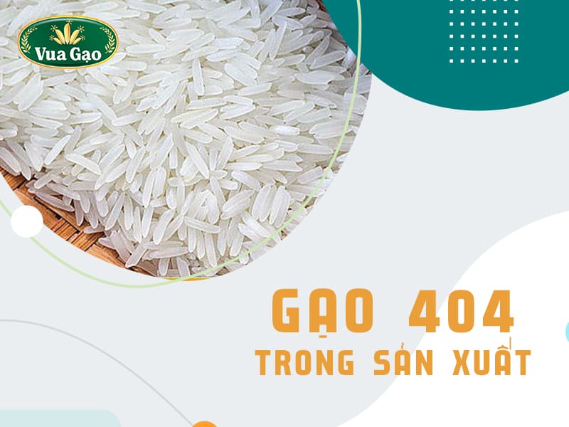 gao-404-trong-san-xuat