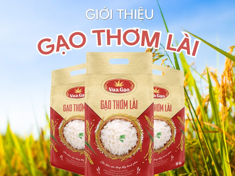 gao_thom_lai