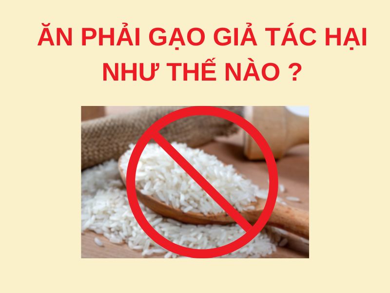 ăn phải gạo giả tác hại như nào