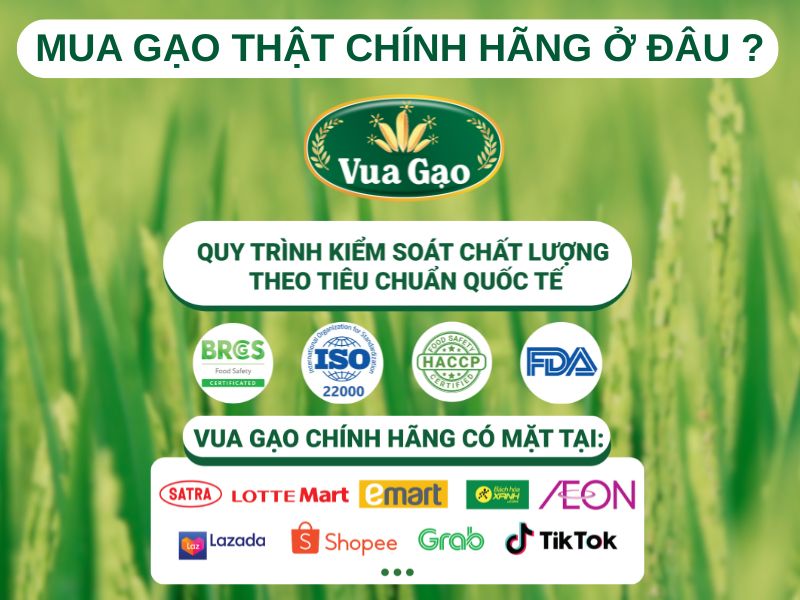 MUA GẠO THẬT CHÍNH HÃNG Ở ĐÂU ?